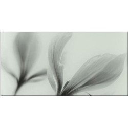 DS-02-500-0223-0448-1-057