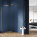 New Trendy Avexa gold brushed walk-in 130x200 cm