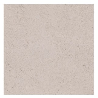 Paradyż Algo Bianco 30*30