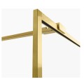 New Trendy Avexa gold brushed walk-in 100x200 cm