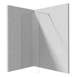 Ścianka prysznicowa Prizma walk-in 110 cm