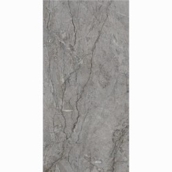 Paradyż Visioner grey płytka gresowa poler 60x120cm.