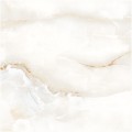 Netto Onyx desert płytka gresowa polished 60x60 cm.