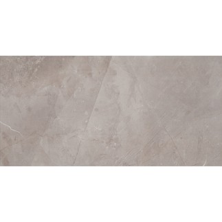 Tubądzin Muse silver płytka ścienna 29,8x59,8