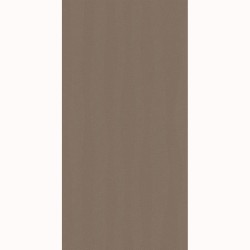 Paradz Clam silver dekor połysk płytka ścienna 29,8 x 59,8 cm.