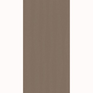 Paradz Clam silver dekor połysk płytka ścienna 29,8 x 59,8 cm