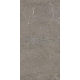 Paradyż Wonderstone light grey poler płytka gresowa 59,8x119,8 cm