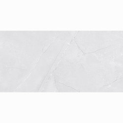 Netto Wall Venezia light grey shiny płytka ścienna 30 x 60 cm.