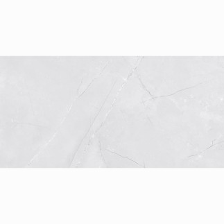 Netto Wall Venezia light grey shiny płytka ścienna 30 x 60 cm