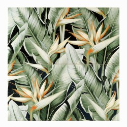 Domino Floris inserto 2-elementowy płytka ścienna 61,8x60,8 cm.