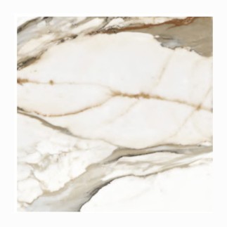 Stargres Calacatta gold płytka gresowa59,5x59,5 cm mat