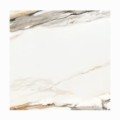 Stargres Calacatta gold płytka gresowa59,5x59,5 cm mat.