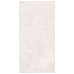Nowa Gala Geotec 10 jasnoszary półpoler płytka gresowa 119,7x59,7x1cm