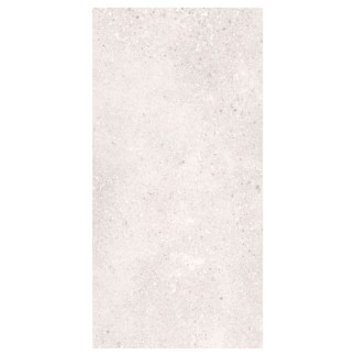 Nowa Gala Geotec 10 jasnoszary półpoler płytka gresowa 59,7x29,7x0,8cm