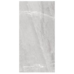 Nowa Gala Tioga TG 10 szary półpoler płytka gresowa 59,7x29,7x0,85cm