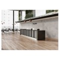 Cerrad Concrete gris płytka gresowa 119,7x59,7cm