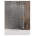 New Trendy Avexa gold brushed walk-in 100x200 cm