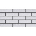 Cerrad Foggia Bianco płytka klinkierowa elewacyjna 6,5x24,5