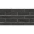 Cerrad Foggia Nero płytka klinkierowa elewacyjna 6,5x24,5