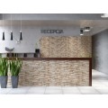 Cerrad Kallio Terra płytka klinkierowa 15x45