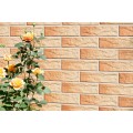 Cerrad Gobi Rustico klinkier elewacyjny 24,5x6,5