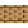 Cerrad Gobi Rustico klinkier elewacyjny 24,5x6,5