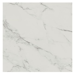 Paradyż classica Carrastone white mat płytka gresowa 59,8x59,8cm