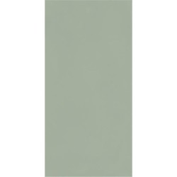 Paradyż Neve Creative Green połysk płytka ścienna 9,8x19,8