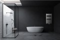 Invena Grzejnik łazienkowy drabinkowy 540x1000 446W biały