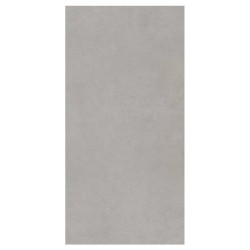 Paradyż Intero płytka gresowa nieszkliwiona matowa silver 29,8x59,8 cm