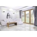 Ceramstic Harmigon tundra poler płytka gresowa 60x60