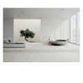 Paradyż My Way Elite white mat płytka gresowa 59,8x119,8