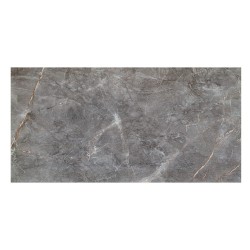 Domino Visine grey gloss płytka ścienna 59,8x119,8